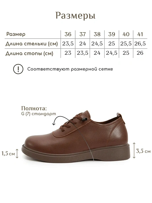 Женские туфли eObuv коричневые, артикул DY25030701B