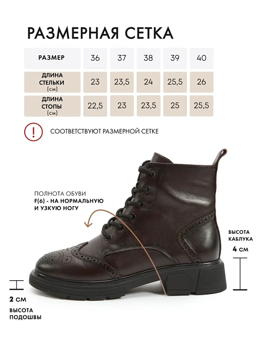 Женские ботинки FEDERICA RODARI коричневые, артикул 17E-Z18021-25W