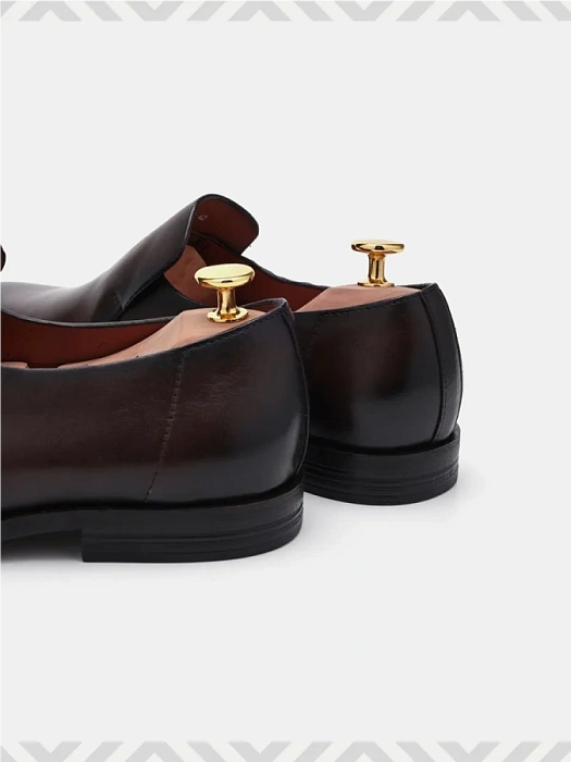 Мужские туфли BRUNO RENZONI  коричневые, артикул BR16772-MB