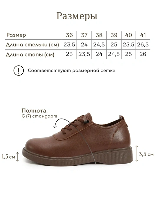 Женские туфли eObuv коричневые, артикул DY25030701B
