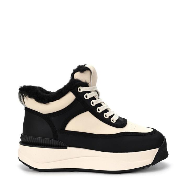 Женские ботинки basic Donna Daniella  черные, артикул T182-011