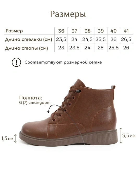 Женские ботинки eObuv коричневые, артикул DY25030720B