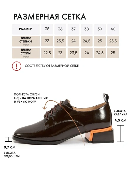 Женские туфли FEDERICA RODARI коричневые, артикул FD4E-1051-301