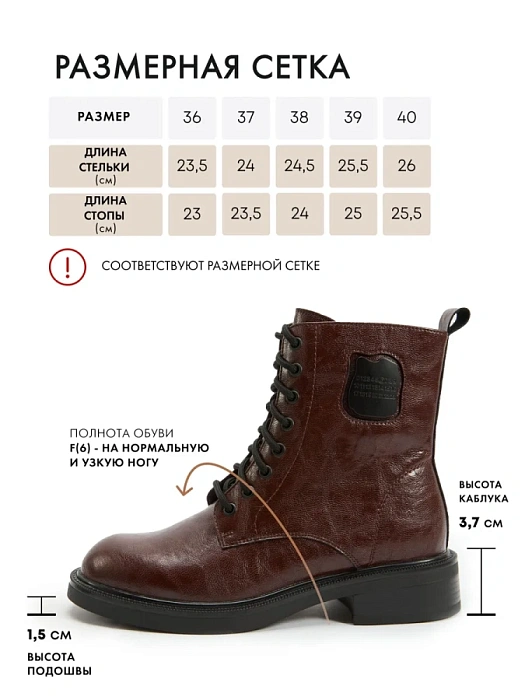Женские ботинки FEDERICA RODARI коричневые, артикул 17E-ZH732-25W