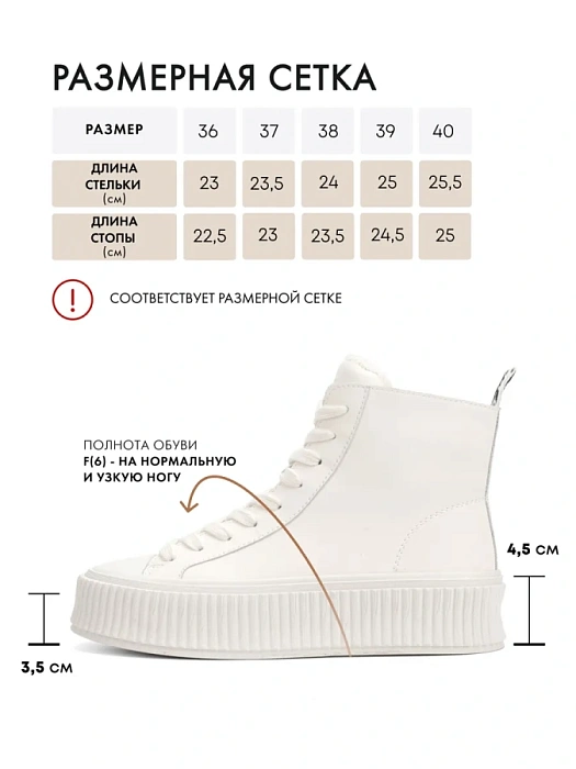 Женские ботинки basic FEDERICA RODARI бежевые, артикул 42E-X709-2B