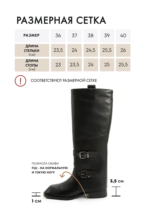 Женские сапоги FEDERICA RODARI черные, артикул 17E-Z18235-25W