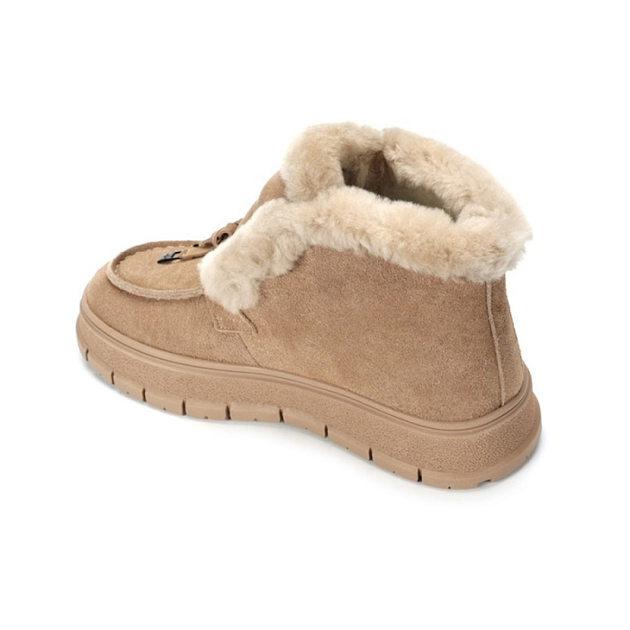 Женские ботинки basic Donna Daniella  бежевые, артикул RW128-012