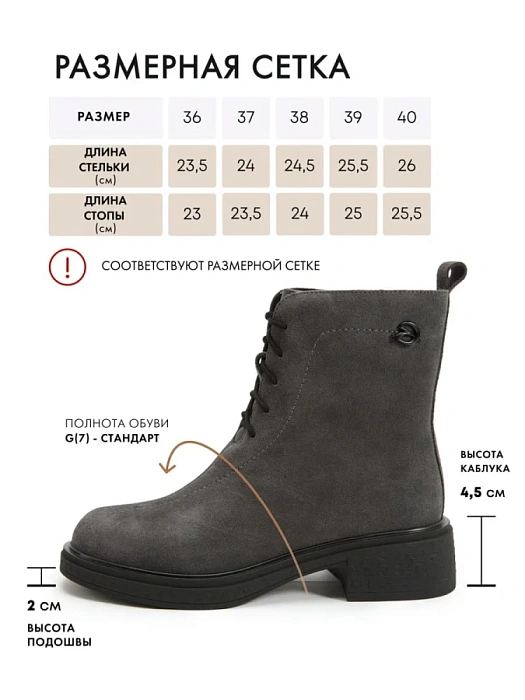 Женские ботинки FEDERICA RODARI серые, артикул 17E-Z18103-25W