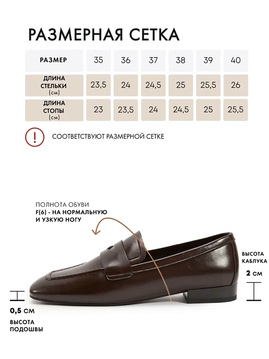 Женские туфли FEDERICA RODARI коричневые, артикул 4E-5136-202B-25W